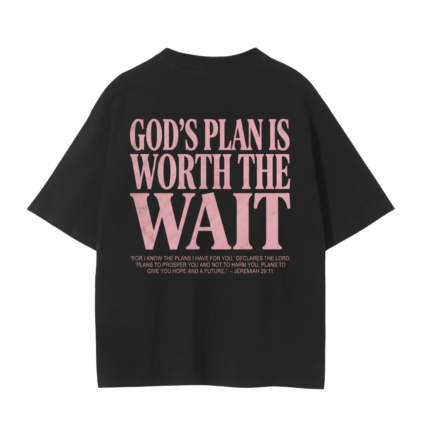 Jeremiah 29:11 T-Shirt